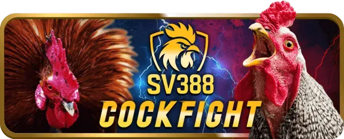 Trực Tiếp HD 88clb88 Code